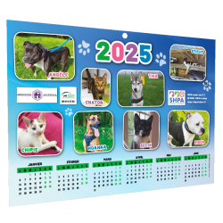 Calendrier A4 ● cartonné ●...